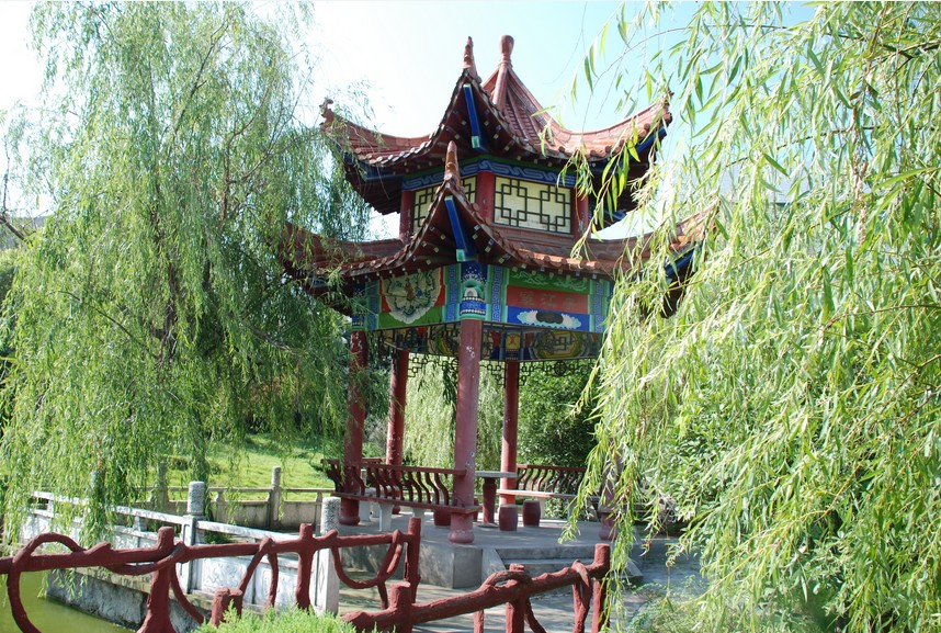 羰